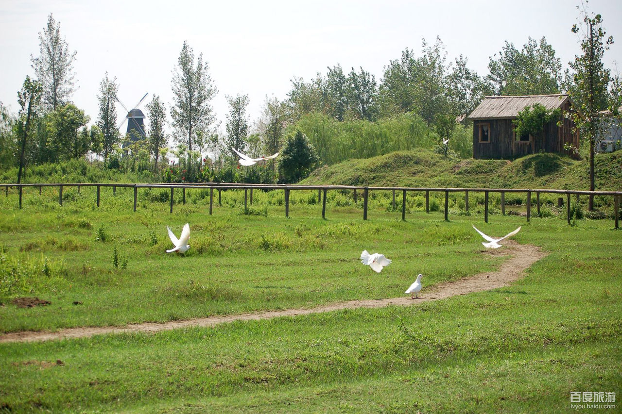 番茄农庄VR全景