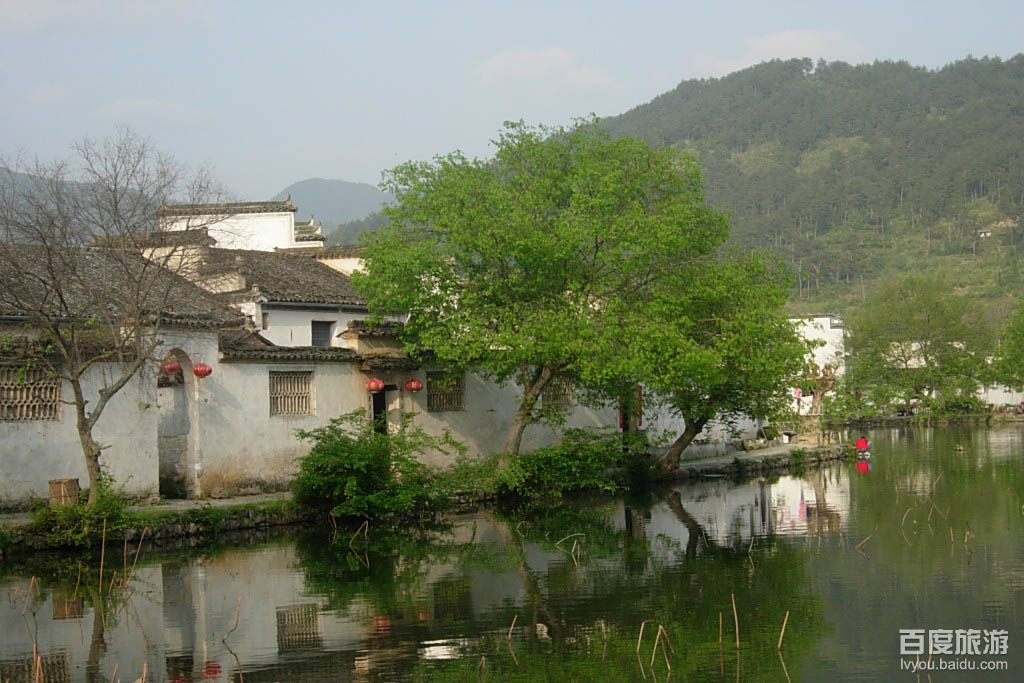 待渡山VR全景