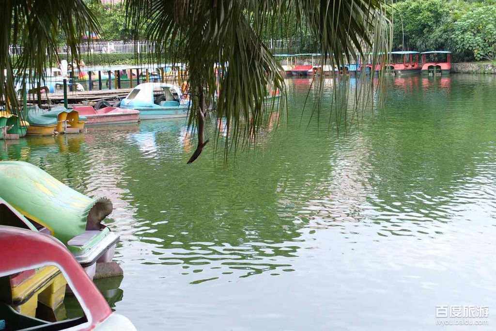 流花湖公园VR全景