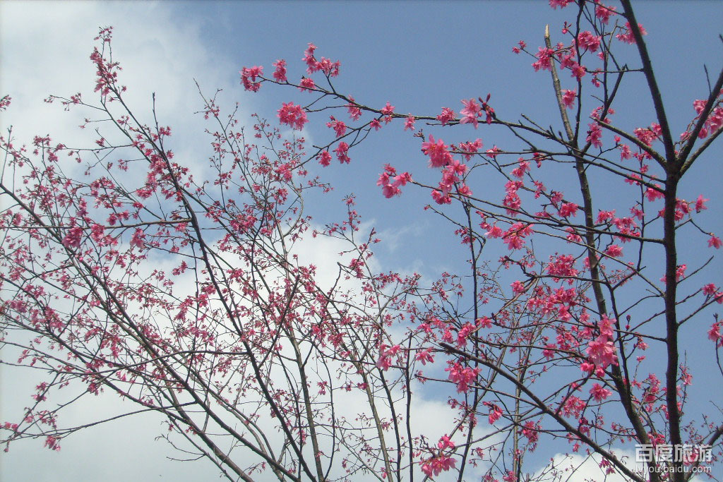 南雄梅关VR全景