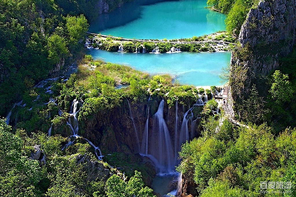 热带雨林VR全景