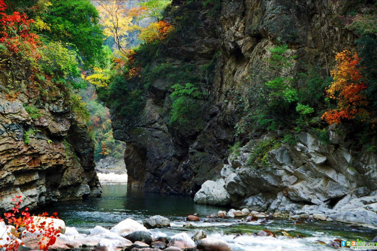 金丝峡国家森林公园