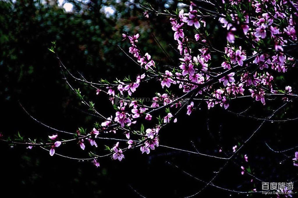 麓谷公园VR全景