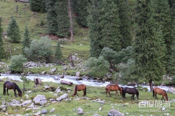 科桑溶洞VR全景