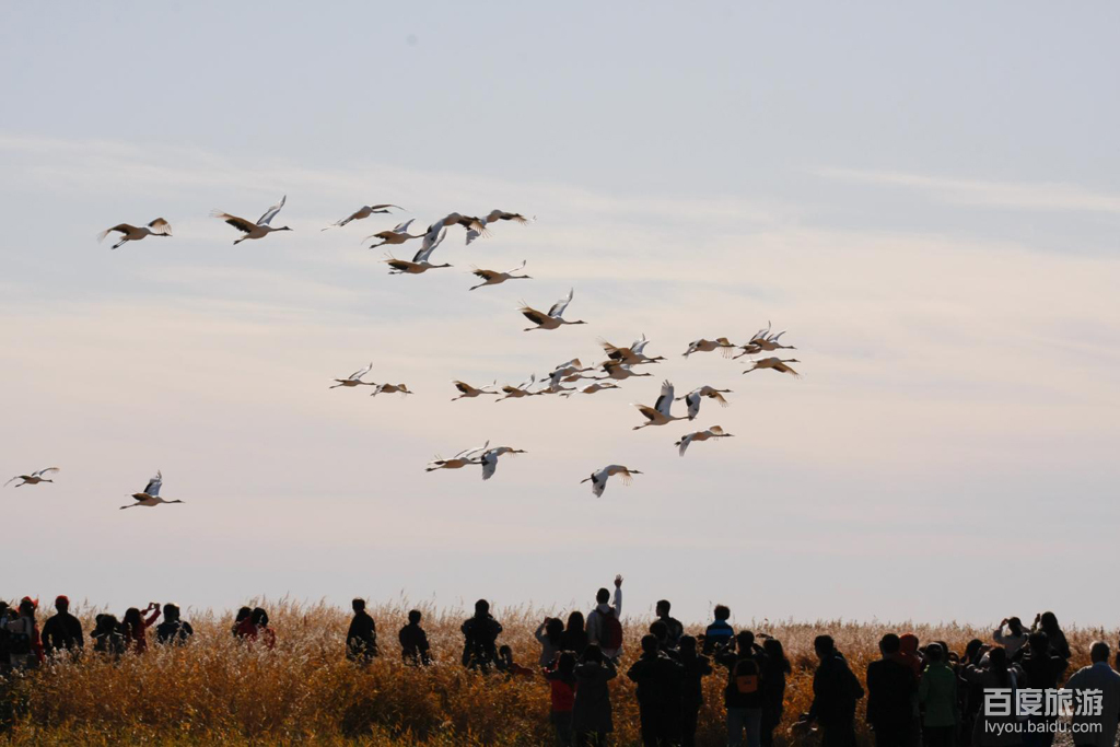 鹤地水库VR全景