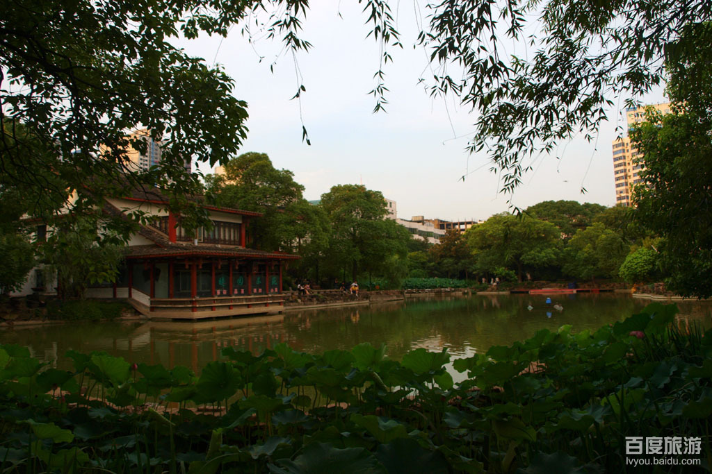 晓园公园VR全景