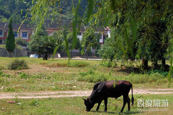 五盖山狩猎场VR全景