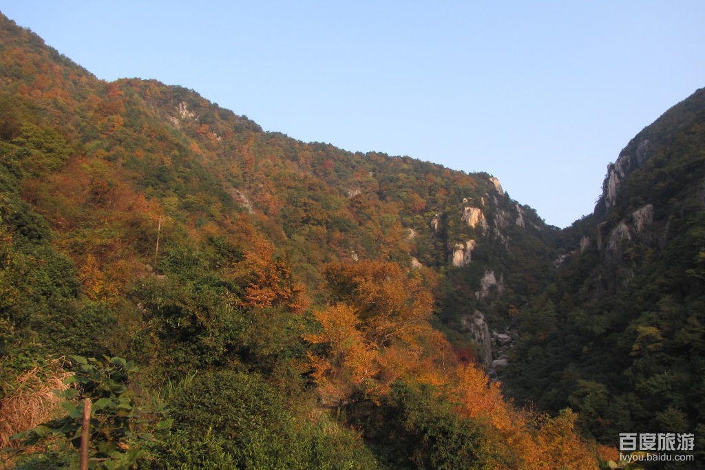 红岗劲松VR全景