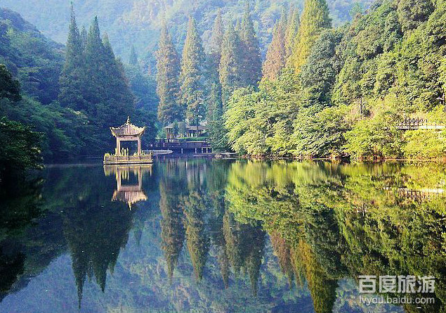 宁海森林温泉VR全景