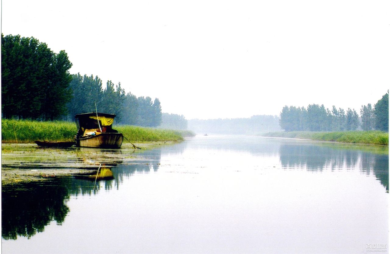 微山湖湿地红荷