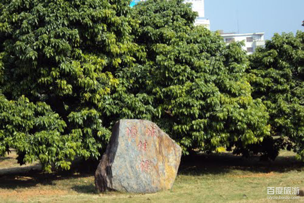 挂绿广场VR全景