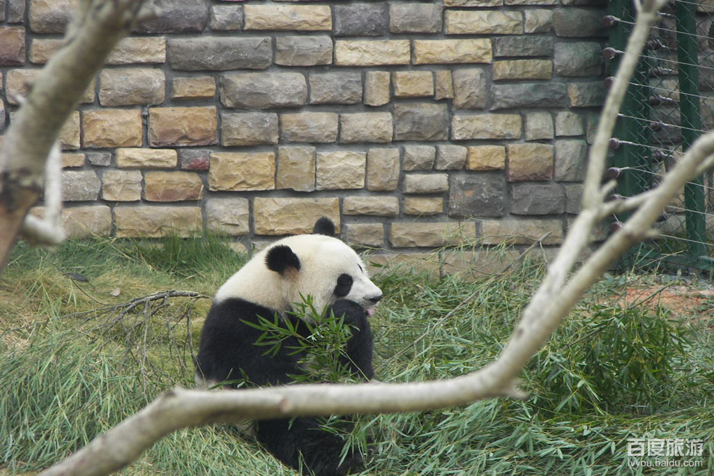 长沙动物园(已搬迁)VR全景