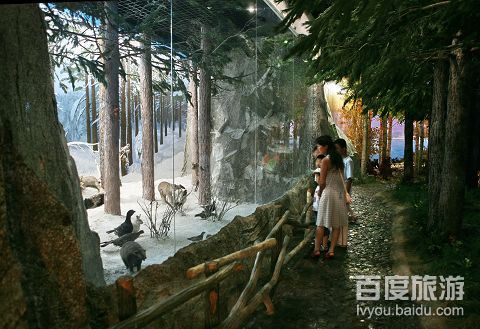 大兴安岭资源馆VR全景