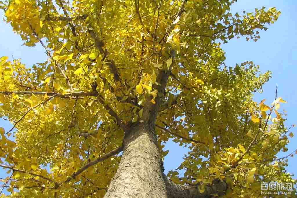 子云亭公园VR全景