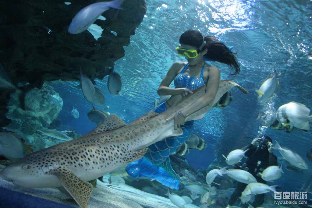 山海关海洋水族馆VR全景