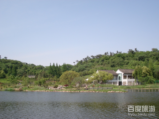 镜湖湿地公园VR全景