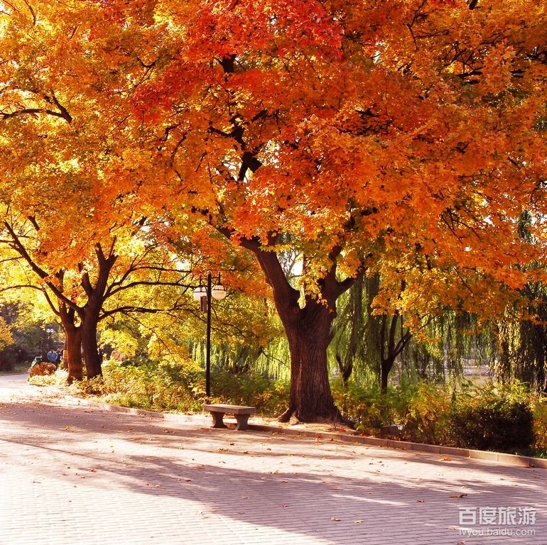 紫竹院VR全景