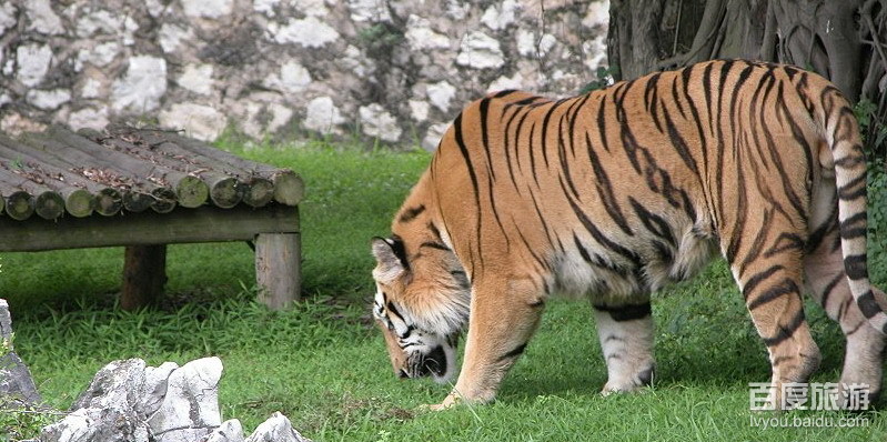 长春动植物公园