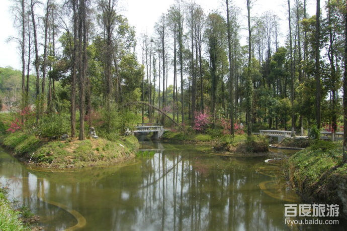 武汉植物园VR全景