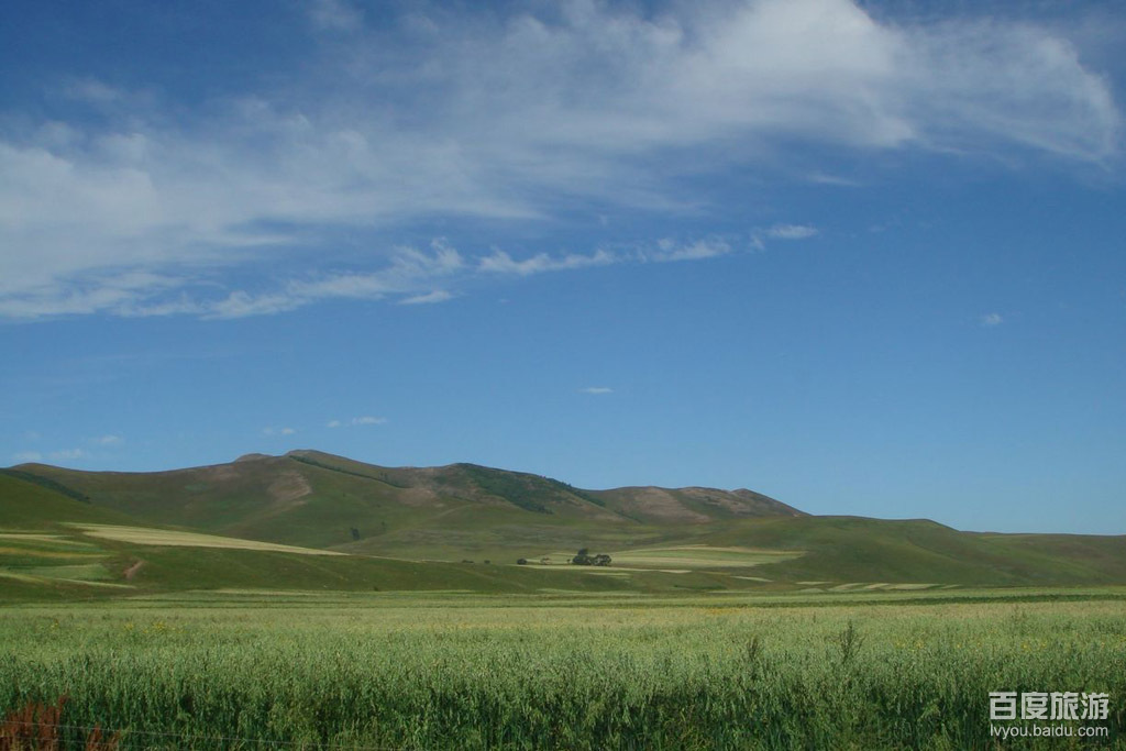 康西草原VR全景